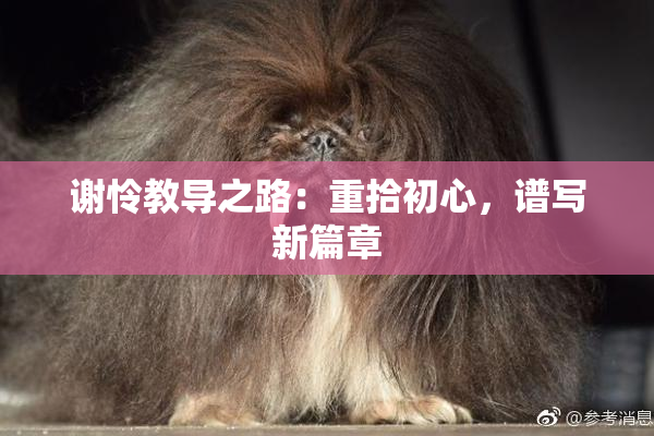 谢怜教导之路：重拾初心，谱写新篇章