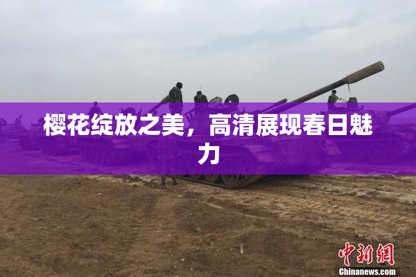 樱花绽放之美，高清展现春日魅力