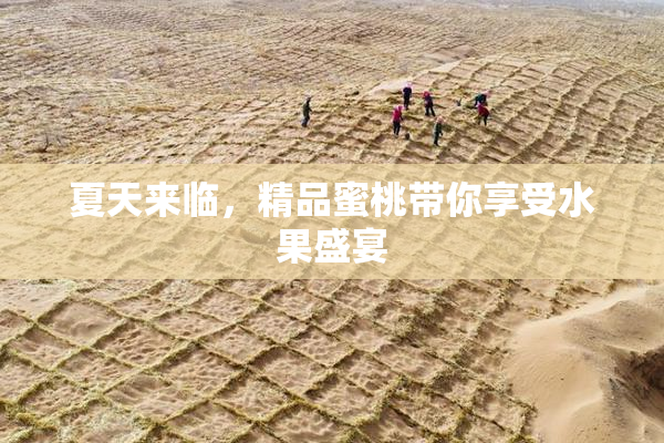 夏天来临，精品蜜桃带你享受水果盛宴