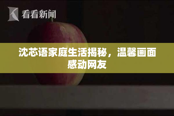 沈芯语家庭生活揭秘，温馨画面感动网友