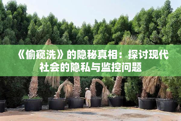 《偷窥洗》的隐秘真相：探讨现代社会的隐私与监控问题