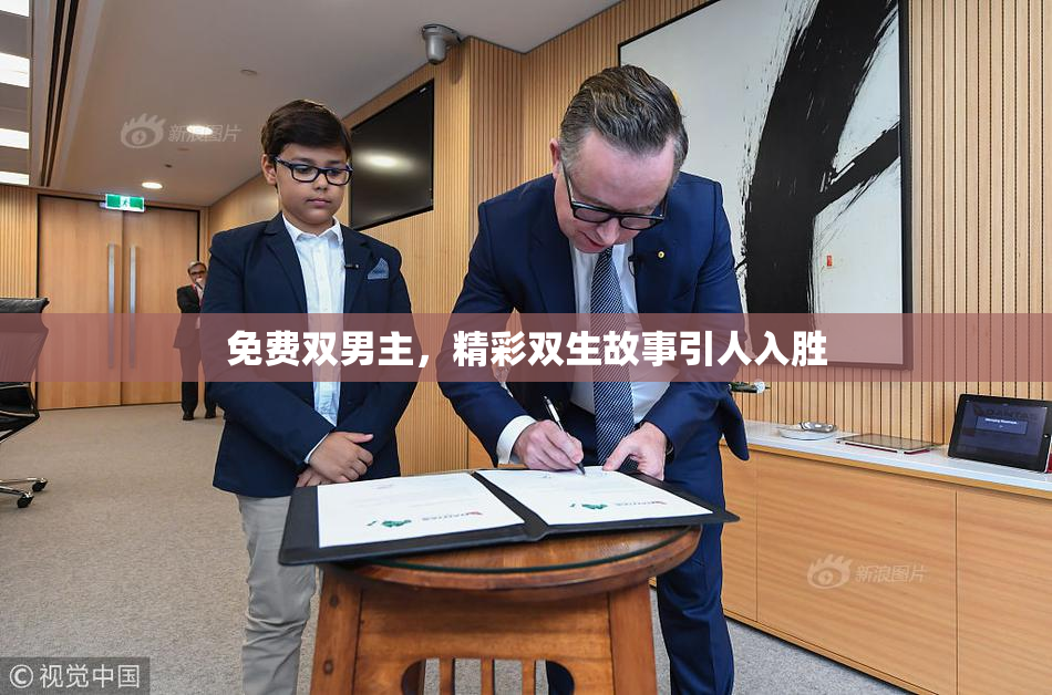 免费双男主，精彩双生故事引人入胜