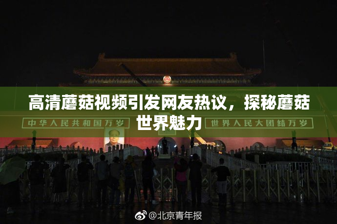高清蘑菇视频引发网友热议，探秘蘑菇世界魅力