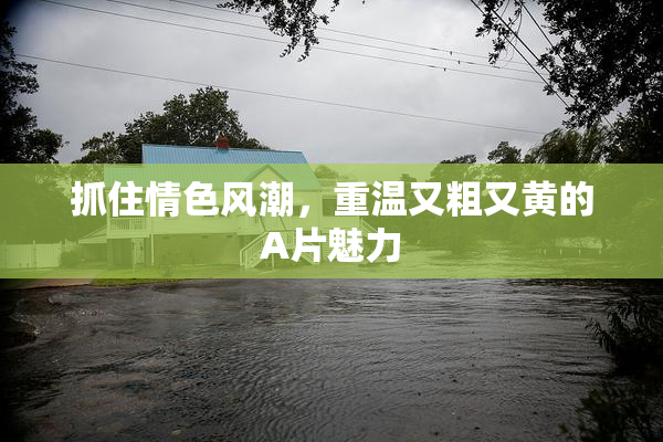 抓住情色风潮，重温又粗又黄的A片魅力