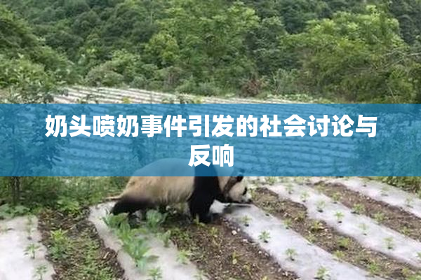 奶头喷奶事件引发的社会讨论与反响