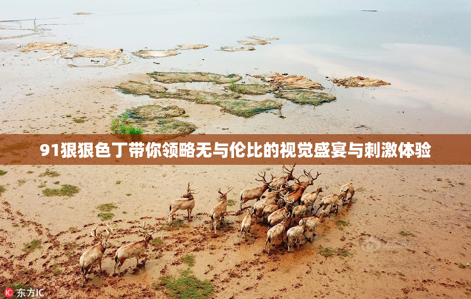 91狠狠色丁带你领略无与伦比的视觉盛宴与刺激体验