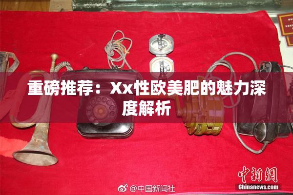 重磅推荐：Xx性欧美肥的魅力深度解析