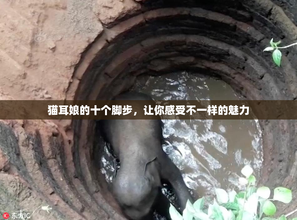 猫耳娘的十个脚步，让你感受不一样的魅力