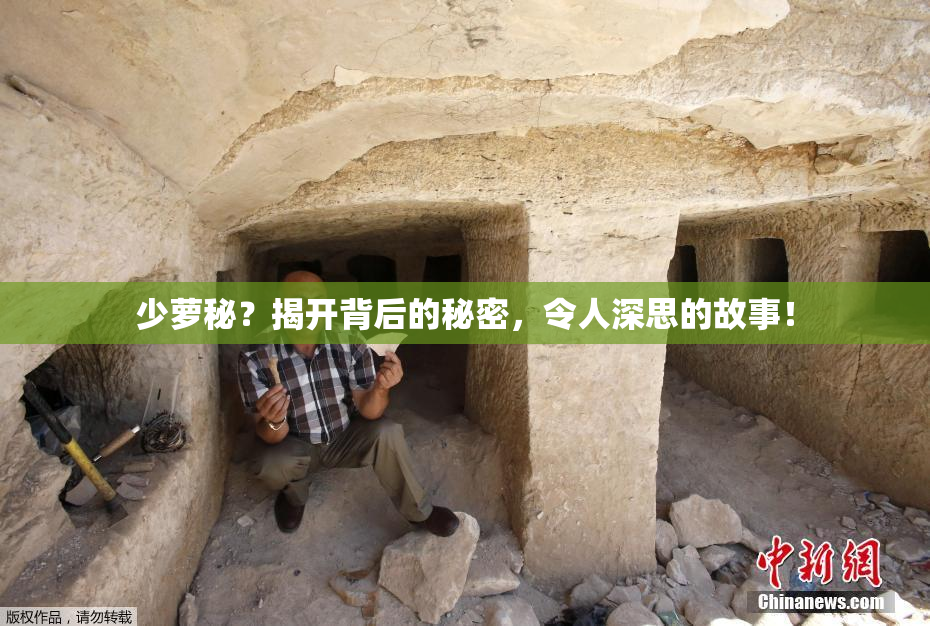 少萝秘？揭开背后的秘密，令人深思的故事！