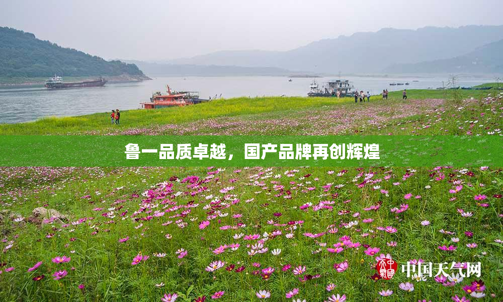 鲁一品质卓越，国产品牌再创辉煌
