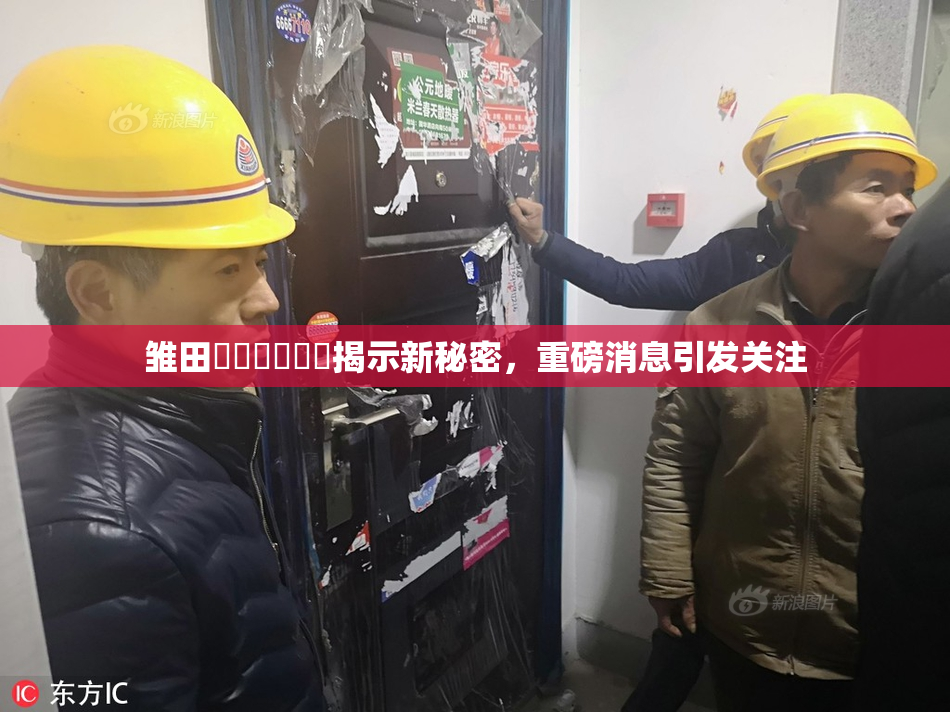 雏田❌‌❌‌❌‌揭示新秘密，重磅消息引发关注