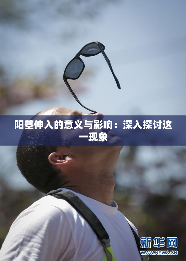 阳茎伸入的意义与影响：深入探讨这一现象