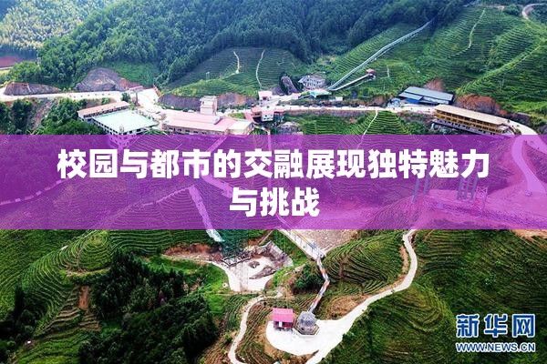 校园与都市的交融展现独特魅力与挑战