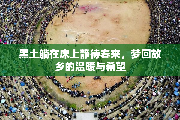 黑土躺在床上静待春来，梦回故乡的温暖与希望