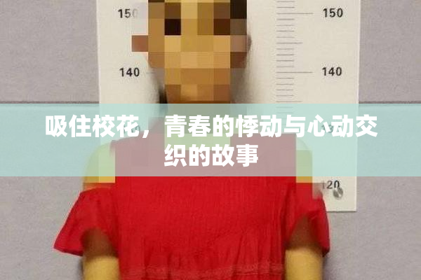 吸住校花，青春的悸动与心动交织的故事