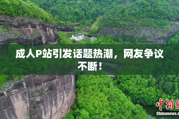 成人P站引发话题热潮，网友争议不断！