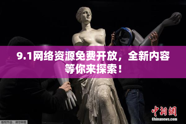 9.1网络资源免费开放，全新内容等你来探索！