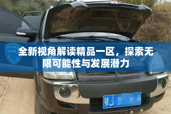 全新视角解读精品一区，探索无限可能性与发展潜力