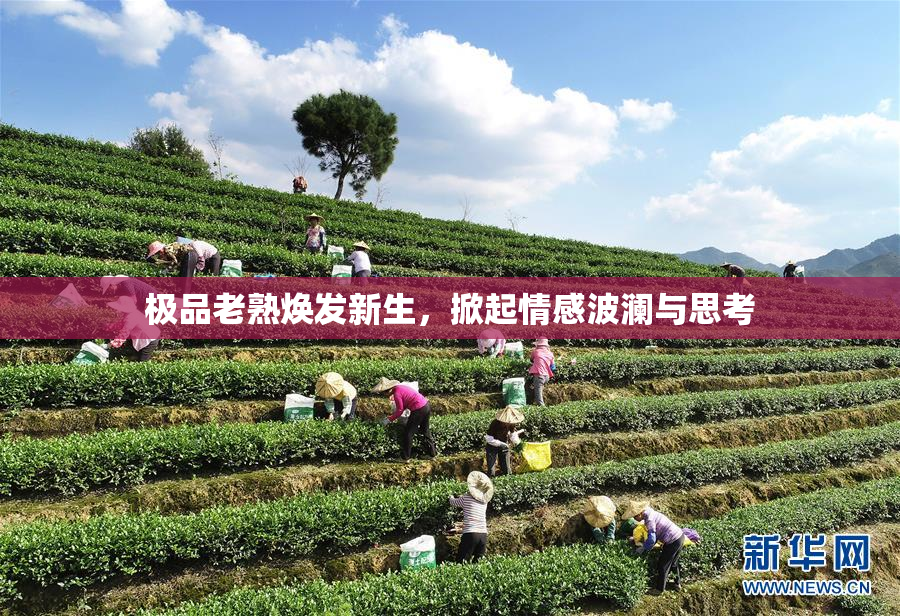 极品老熟焕发新生，掀起情感波澜与思考