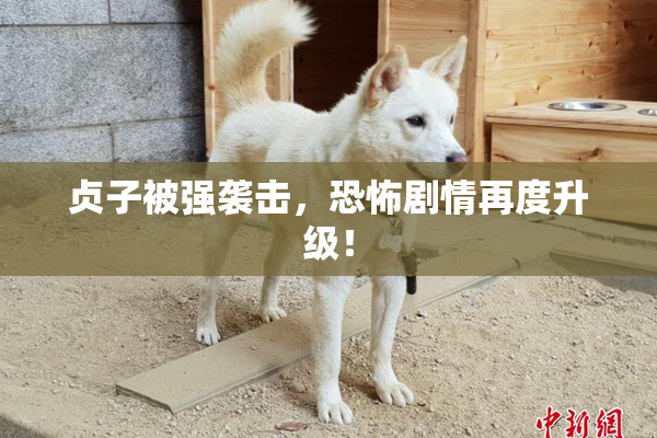 贞子被强袭击，恐怖剧情再度升级！