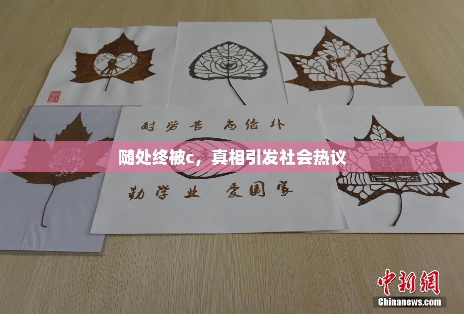 随处终被c，真相引发社会热议