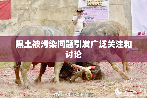 黑土被污染问题引发广泛关注和讨论