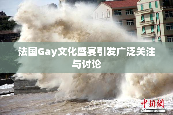 法国Gay文化盛宴引发广泛关注与讨论