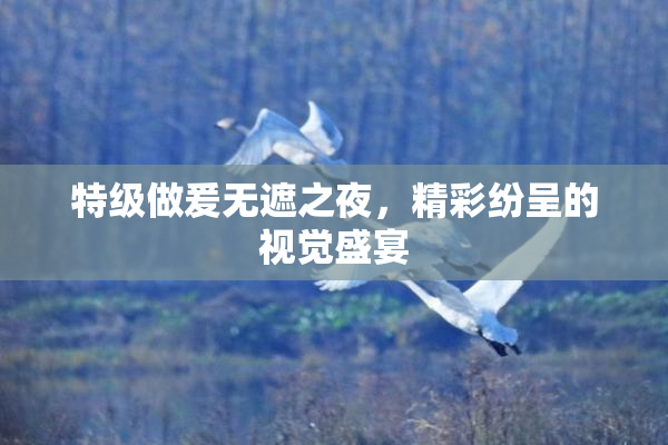 特级做爰无遮之夜，精彩纷呈的视觉盛宴