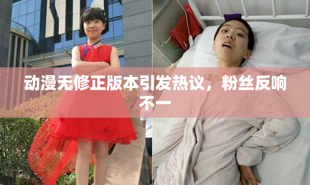 动漫无修正版本引发热议，粉丝反响不一