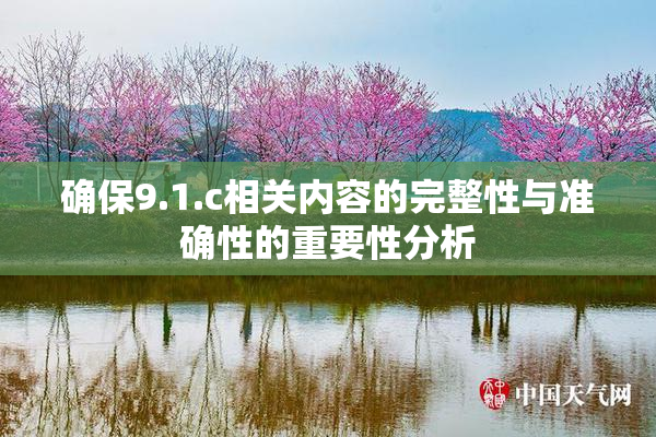 确保9.1.c相关内容的完整性与准确性的重要性分析