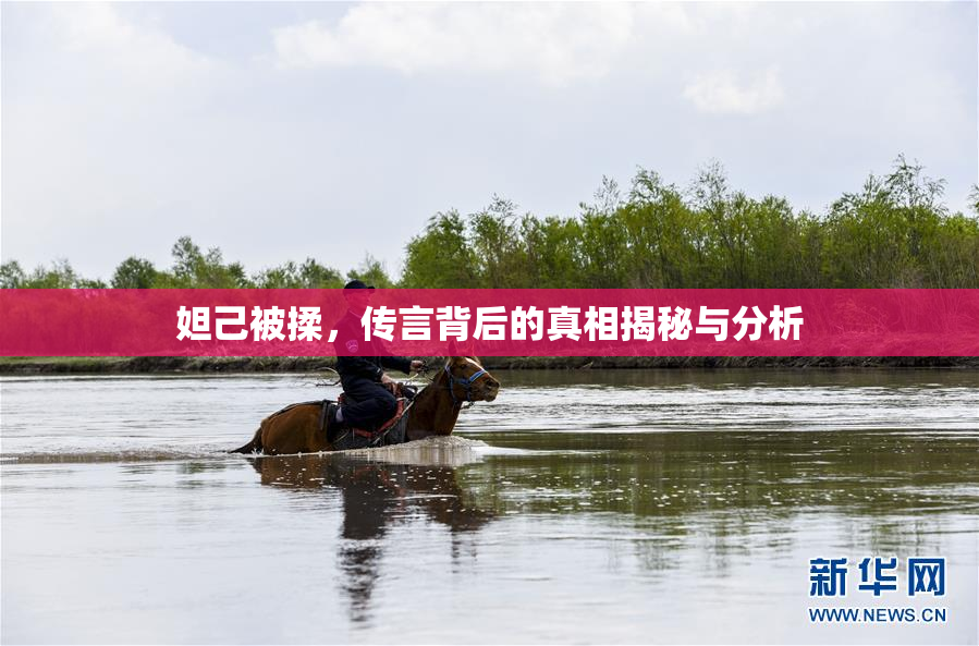 妲己被揉，传言背后的真相揭秘与分析
