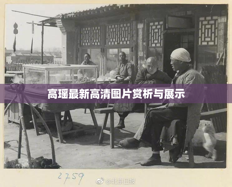 高瑶最新高清图片赏析与展示