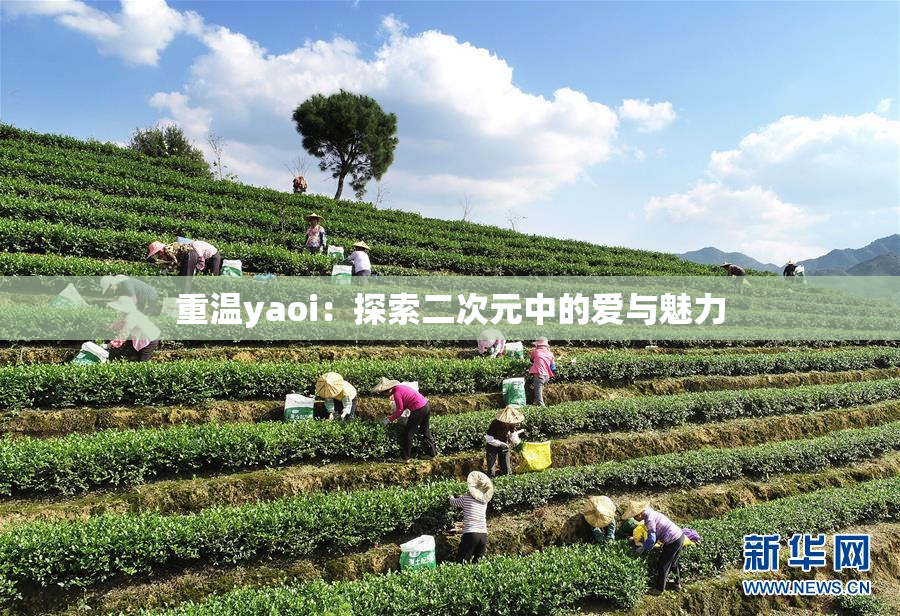 重温yaoi：探索二次元中的爱与魅力