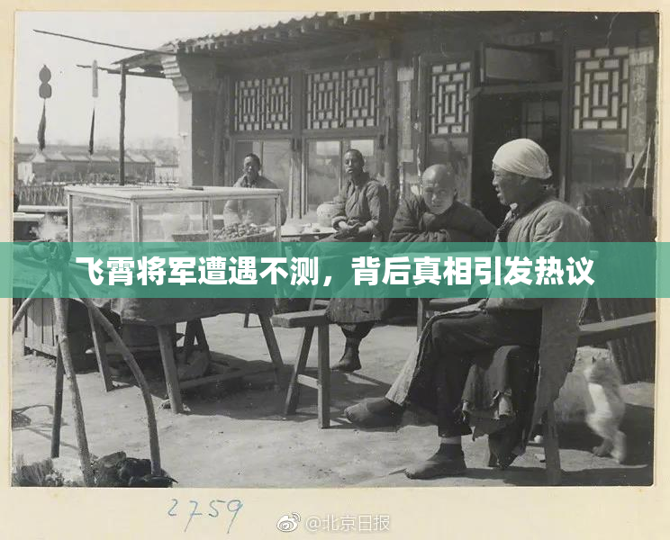 飞霄将军遭遇不测，背后真相引发热议