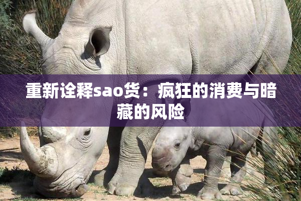 重新诠释sao货：疯狂的消费与暗藏的风险