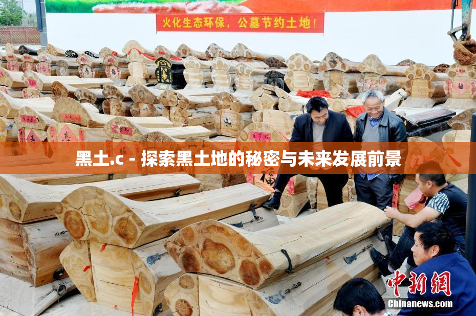 黑土.c - 探索黑土地的秘密与未来发展前景