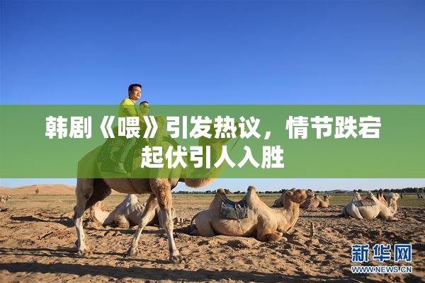 韩剧《喂》引发热议，情节跌宕起伏引人入胜