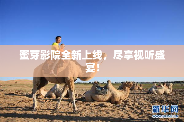 蜜芽影院全新上线，尽享视听盛宴！
