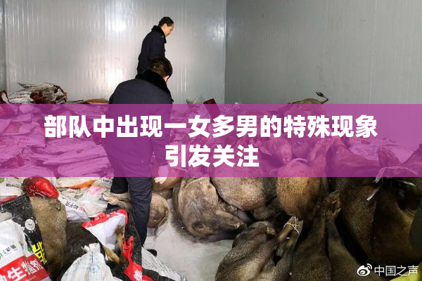 部队中出现一女多男的特殊现象引发关注