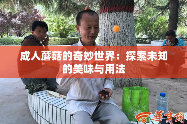 成人蘑菇的奇妙世界：探索未知的美味与用法
