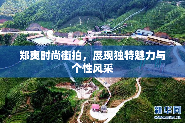 郑爽时尚街拍，展现独特魅力与个性风采