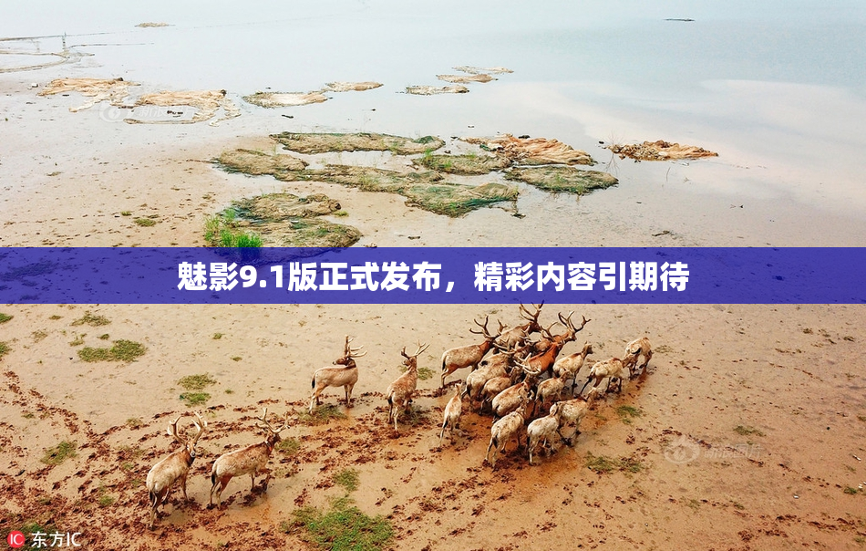 魅影9.1版正式发布，精彩内容引期待