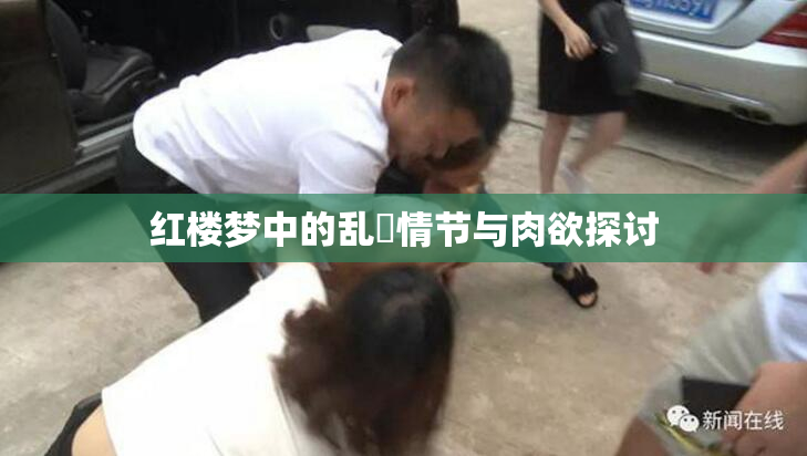 红楼梦中的乱婬情节与肉欲探讨