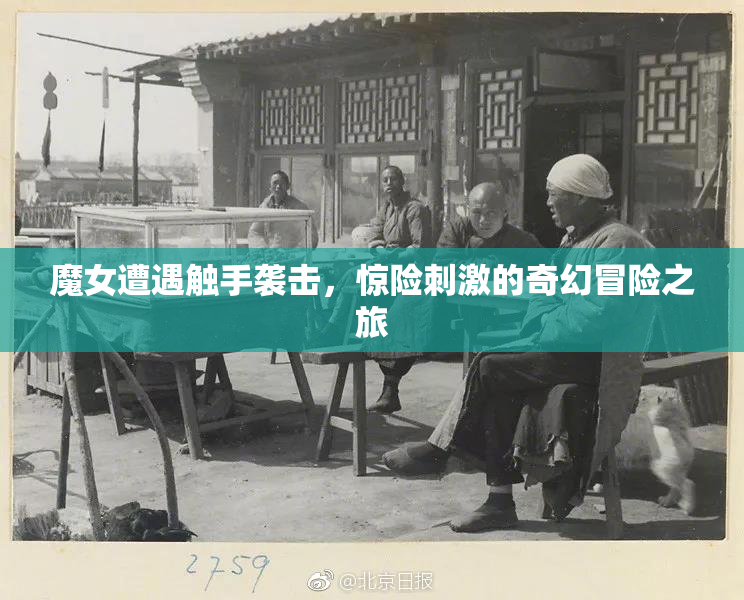 魔女遭遇触手袭击，惊险刺激的奇幻冒险之旅