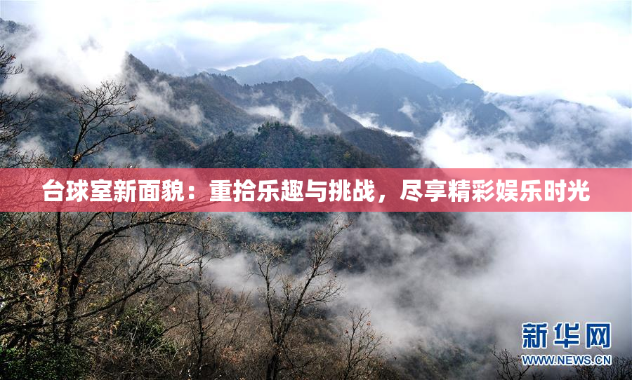 台球室新面貌：重拾乐趣与挑战，尽享精彩娱乐时光