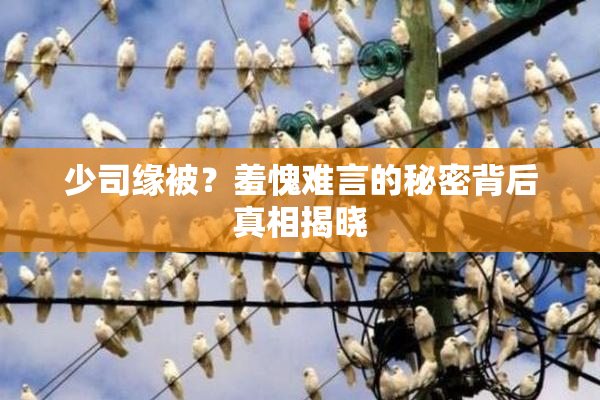 少司缘被？羞愧难言的秘密背后真相揭晓