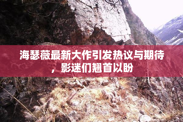 海瑟薇最新大作引发热议与期待，影迷们翘首以盼