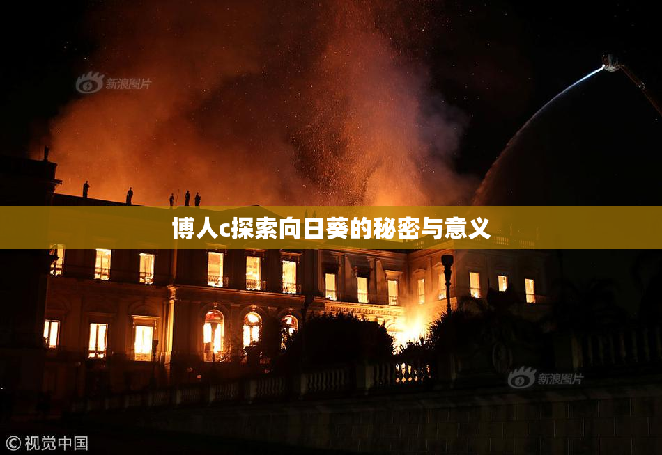 博人c探索向日葵的秘密与意义