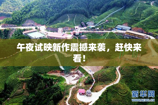 午夜试映新作震撼来袭，赶快来看！
