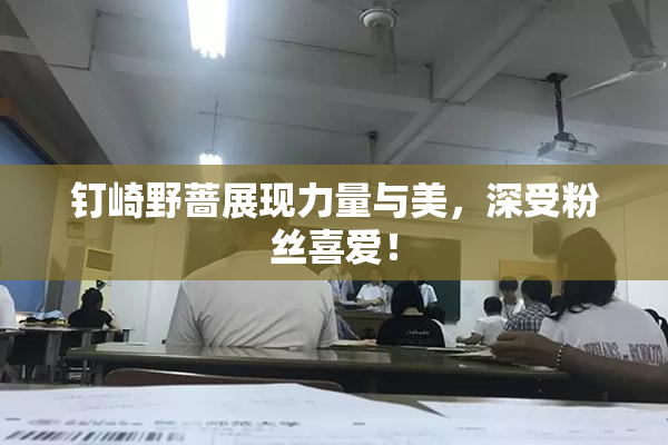 钉崎野蔷展现力量与美，深受粉丝喜爱！